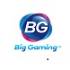 biggamingcasino