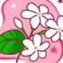 Floral Delights PH