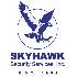 Skyhawk Security